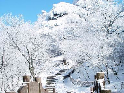 huangshan%20%289%29.jpg