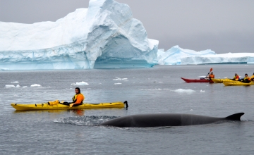 kayaking.jpg