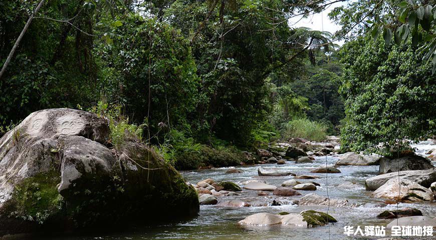 The-tropical-Rainforest-Amazon.jpg